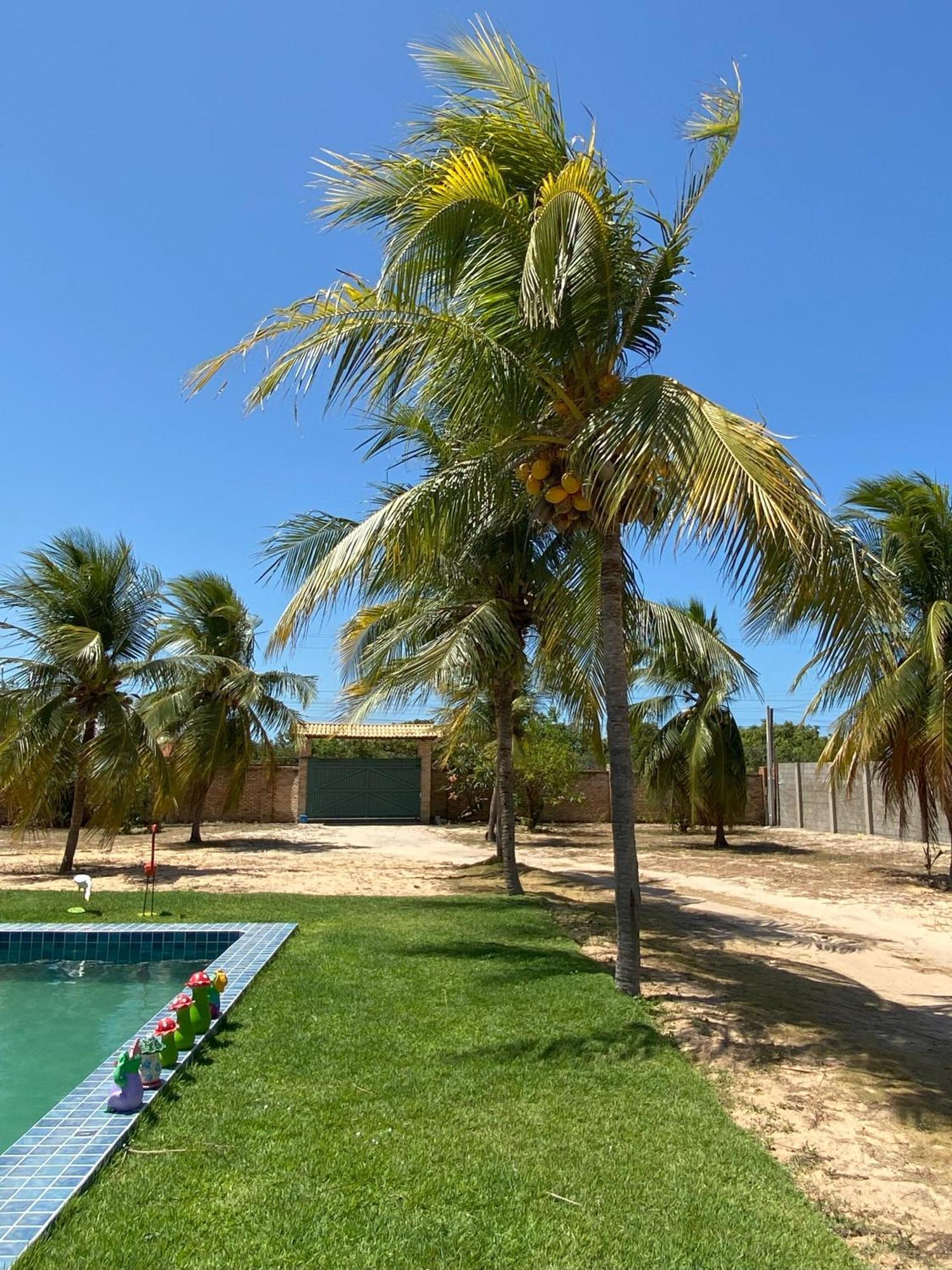 Sitio Sossego - A 5 Min Da Praia Das Fontes Beberibe Buitenkant foto